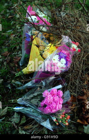 Blumen, die am Ort eines tödlichen Verkehrsunfalls in Irvine, Ayrshire, zurückgelassen wurden. Ein kleines Mädchen, das geboren wurde, nachdem ihre beiden Eltern bei dem Autounfall getötet wurden, hat auch ihren kurzen Kampf ums Leben verloren. Das Baby wurde in einer Notoperation geboren, nachdem das Auto ihrer Eltern in eine tödliche Kollision mit einem Polizeiauto verwickelt war. Siehe PA Geschichte POLIZEI Crash. DRÜCKEN SIE VERBANDSFOTO. Bildnachweis sollte lauten: PA Stockfoto