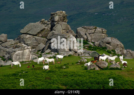 Schönen Knochen Hügel rockt auf Dartmoor in Devon, nur oberhalb von Widecombe-in-the-Moor einen schönen Ort um zu Fuß & erkunden Stockfoto