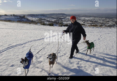 Betty Beaumont aus Hereford übt ihre Rennwhippets von links Charlie, Dylan und Toddy am verschneiten Coaley Peak in der Nähe von Stroud, Gloucestershire, Dienstag, 29 2005. November. Severn Val ist im Hintergrund zu sehen. Siehe PA Story WETTER Schnee. DRÜCKEN SIE VERBANDSFOTO. Das Foto sollte lauten: Barry Batchelor/PA Stockfoto