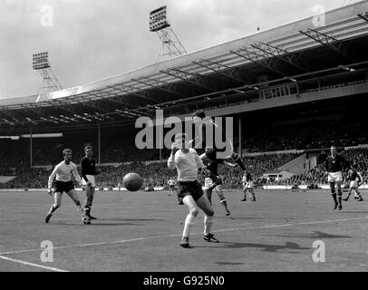 Der ungarische Torhüter Jozsef Gelei springt hoch, um sich vor England außerhalb des rechten Terry Paine abzuschlagen. Stockfoto