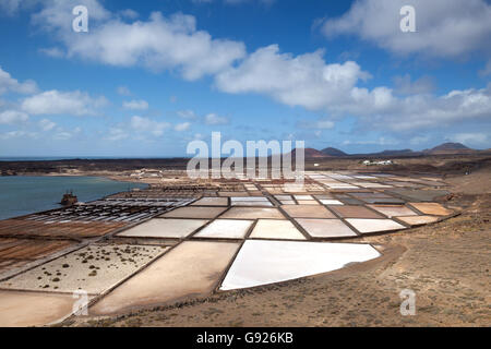 Salinen Salinas de Janubio Lanzarote, Kanarische Inseln Stockfoto