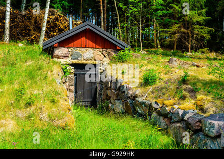 Root-Keller nahe am Wald mit Stein Geröll hinauf zum Eingang. Stockfoto