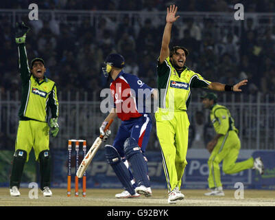 Der pakistanische Shahid Afridi feiert, nachdem er den englischen Andrew Flintoff LBW während des vierten eintägigen Internationalen im Rawalpindi Stadium, Rawalpindi, am Montag, den 19. Dezember 2005, eingefangen hat. Siehe PA Geschichte CRICKET England. DRÜCKEN SIE VERBANDSFOTO. Bildnachweis sollte lauten: Gareth Copley/PA. Stockfoto