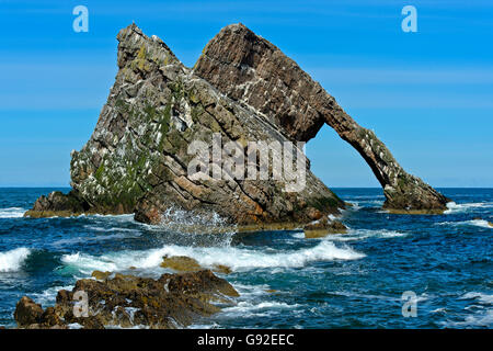 Bogen Sie Geige Rock, Portknockie, Moray Firth, Schottland, Großbritannien Stockfoto