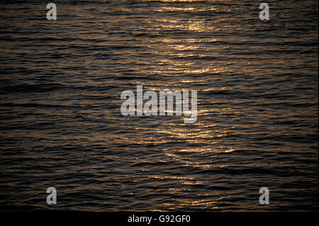 Sonnenlicht reflektieren, Wasser Stockfoto