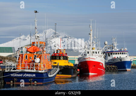 Trawler im Hafen von Hofn, Südost-Island, Island, Höfn Angeln Stockfoto