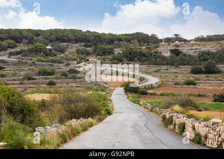 Rückgewinnung von steinigen Boden auf der Insel Malta ist hart für die kleinen Landwirte. Stockfoto