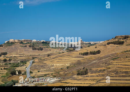 Rückgewinnung von steinigen Boden auf der Insel Malta ist hart für die kleinen Landwirte. Stockfoto