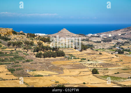 Rückgewinnung von steinigen Boden auf der Insel Malta ist hart für die kleinen Landwirte. Stockfoto