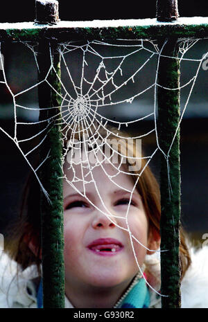 EIGENSTÄNDIG. Stephanie Reeves, 7, aus Glasgow, schaut sich ein Spinnennetz an, das in einem starken Frost gefangen ist, während das kalte Wetter in Schottland weitergeht, Mittwoch, 4. Januar 2006. DRÜCKEN SIE VERBANDSFOTO. Bildnachweis sollte lauten: David Ceskin/PA Stockfoto