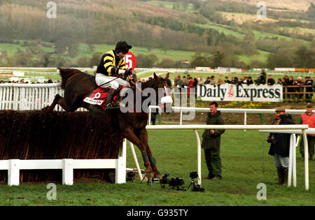 Pferderennen Sie - Gold Cup - Cheltenham Stockfoto