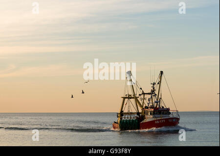 Eine kleine Küstenfischerei Boot nach Aberystwyth Hafen mit seinen Fang auf flach ruhiger See an einem lauen Abend, Cardigan Bay, West Wales UK Stockfoto