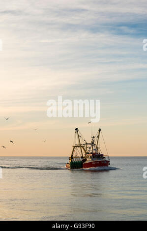 Eine kleine Küstenfischerei Boot nach Aberystwyth Hafen mit seinen Fang auf flach ruhiger See an einem lauen Abend, Cardigan Bay, West Wales UK Stockfoto