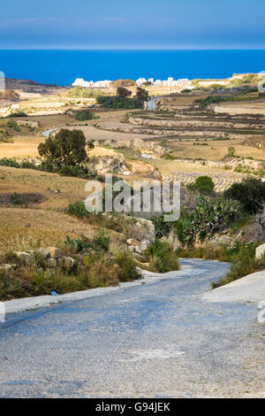 Rückgewinnung von steinigen Boden auf der Insel Malta ist hart für die kleinen Landwirte. Stockfoto