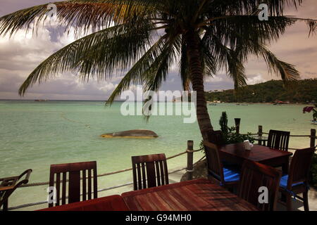 die Mae Hut Bay Beach auf Ko Tao Insel im Golf von Thailand im Südosten von Thailand in Südostasien. Stockfoto