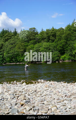 Lachs Angeln am Fluss Lochy, Fort William, Schottland, Großbritannien. Stockfoto