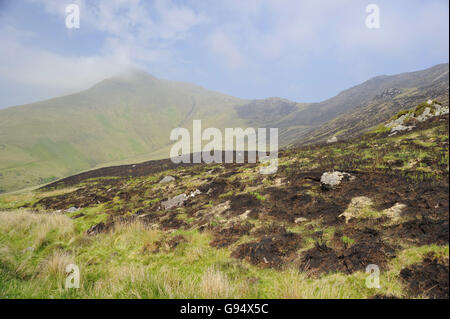 Slieve Mish Mountains, Verbrennung von Wiesen, Ballyarkane Oughter, County Kerry, Irland Stockfoto