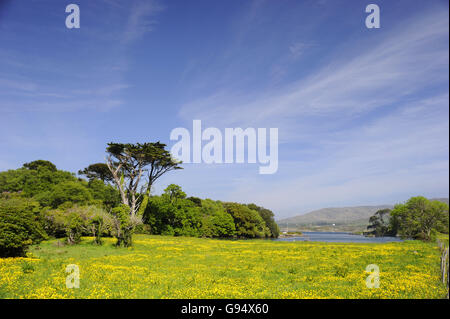 Dunboy Quay, Dunboy Castle, County Cork, Irland Stockfoto