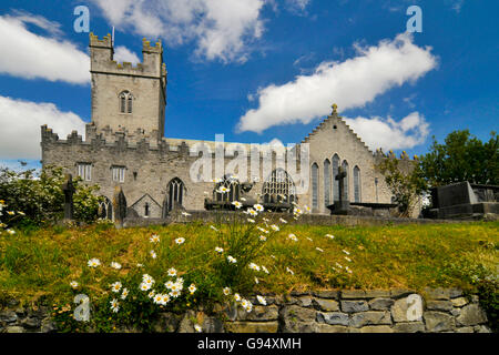 Str. Marys Kathedrale, Limerick, County Limerick, Irland / Limerick Kathedrale Stockfoto