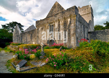 Muckross Abbey, Killarney, County Kerry, Irland Stockfoto