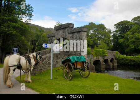 Brücke nach Lord Brandon Cottage, Kutsche Auto, Gap of Dunloe, Killarney, County Kerry, Irland Stockfoto