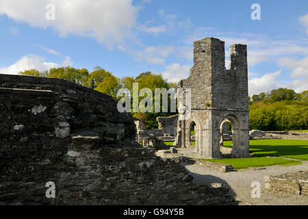 Mellifont Abbey, Mellifont, in der Nähe von Drogheda, County Louth, Irland / Zisterzienser-Abtei Stockfoto