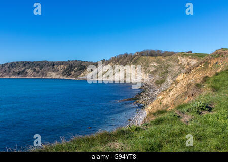 England Dorset Swanage Küsten Blick von Peveril Point Adrian Baker Stockfoto