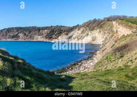 England Dorset Swanage Küsten Blick von Peveril Point Adrian Baker Stockfoto