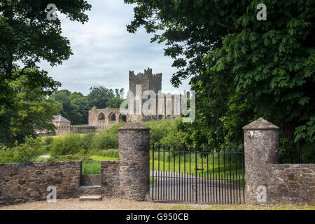 Tintern Abbey - die Ruinen der Zisterzienser-Abtei liegt auf der Halbinsel Hook, County Wexford, Irland. Stockfoto