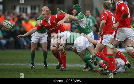 RUGBYU Irland Stockfoto