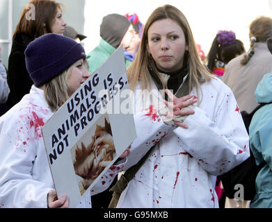 PROTEST-Lab Stockfoto