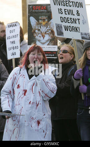 PROTEST-Lab Stockfoto