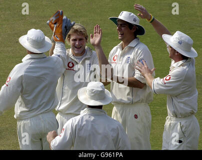 Der englische Kapitän Matthew Hoggard mit Alastair Cook (zweiter rechts) feiert die Entlassung des indischen Kapitäns Rahul Dravid für 40 Läufe am dritten Tag des ersten Testmatches auf dem Vidarbha Cricket Association Ground, Nagpur, Indien, Freitag, 3. März 2006. DRÜCKEN SIE VERBANDSFOTO. Bildnachweis sollte lauten: Rebecca Naden/PA. Stockfoto