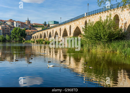 Steinbrücke über den Fluss Douro und Zamora Stadt im Hintergrund. Castilla y Leon, Spanien. Stockfoto