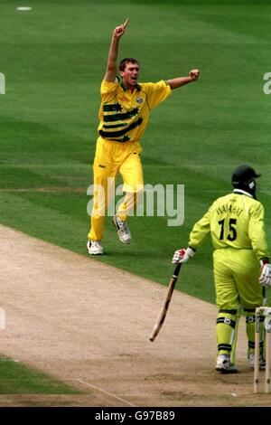 Cricket - ICC World Cup - Finale - Pakistan V Australien Stockfoto