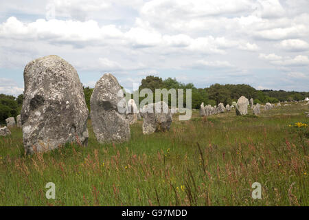 Standing Stones auf megalithischen Website Menec Achsen Carnac Brittany France Stockfoto