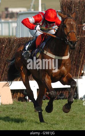 Pferderennen - Cheltenham Festival - Queen Mother Champion Chase Day - Cheltenham Rennbahn. Idle Talk von Jason Maguire im Royal und Sunalliance Kirchturm Chase Stockfoto