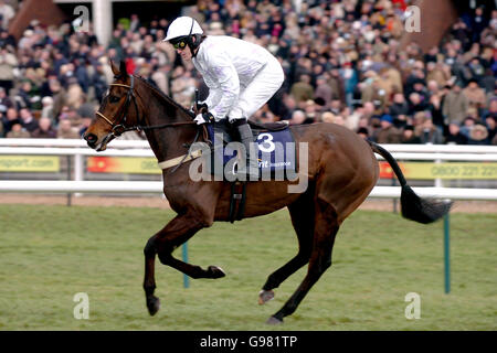 Black Jack Ketchum unter der Flagge von Tony McCoy wird gepostet In der Brit Insurance Novices' Hurdle (Klasse 2) Stockfoto