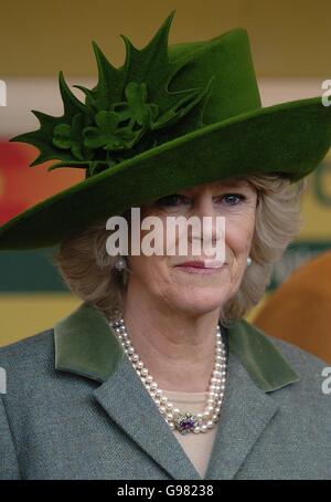 Pferderennen - Cheltenham Festival - totesport Cheltenham Gold Cup Day - Cheltenham Rennbahn. Camilla Parker-Bowles, Herzogin von Cornwall Stockfoto