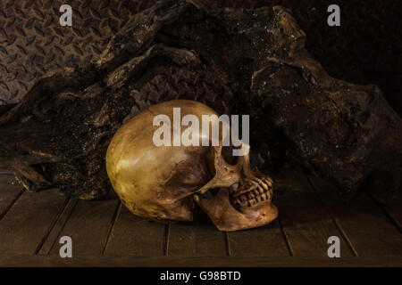 Stillleben mit einem Schädel-Konzept auf die Kunst. Stockfoto