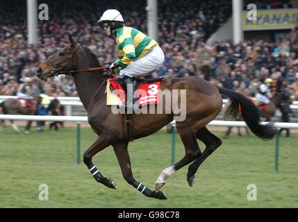 Baracouda, die von Tony McCoy geritten wird, geht in den Posten ladbrokes World Hurdle Race (Klasse 1) Stockfoto