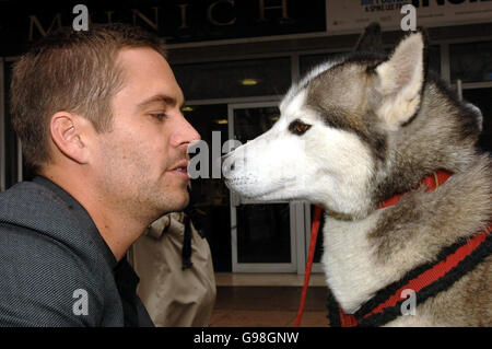 US-Schauspieler Paul Walker ('The Fast & The Furious') bei einer Fotowand (mit Huskie-Hund, 'Tinker'), um seinen neuen Film 'Eight below', Freitag, 24. März 2006, aus dem Odeon West End Cinema im Zentrum von London zu veröffentlichen. DRÜCKEN Sie VERBANDSFOTO. Foto-Kredit sollte lesen: Steve Parsons/PA der neue Disney-Blockbuster erzählt eine Überlebensgeschichte in der gefrorenen Wildnis der Antarktis und wird ab dem 20. April allgemein veröffentlicht. Stockfoto