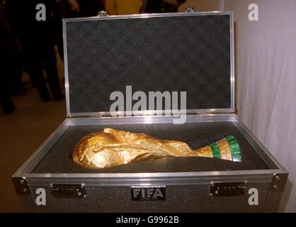 FIFA 2002 World Cup Vorrunde unentschieden in Tokio - Pressekonferenz Stockfoto