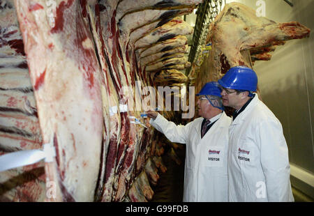 Der schottische Minister für Umwelt und ländliche Entwicklung, Ross Finnie MSP (links), mit dem Interimsvorsitzenden von Quality Meat Scotland Donald Biggar, sehen, dass Rindfleisch im Scotbeef-Werk in Bridge of Allan zubereitet wird, wo er am Tag des Exporthandels mitgeholfen hat, den ersten schottischen Rindfleischlieferer nach Europa zu laden Auf dem Kontinent offiziell wieder eröffnet. Stockfoto