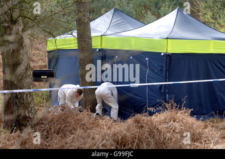 Forensik-Offiziere auf Cannock Chase in Staffordshire in der Nähe des deutschen Kriegsfriedhofs, wo menschliche Überreste entdeckt wurden. Stockfoto