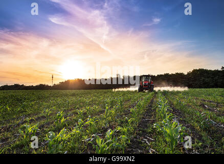 Varna, Bulgarien - 10. Juni 2016: Kubota Traktor im Feld. Kubota Corporation ist ein japanischer Baumaschinen-Hersteller mit einem Stockfoto