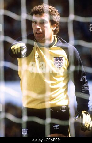 Fußball - freundlich - UdSSR gegen England. Peter Shilton, Englands Torwart Stockfoto