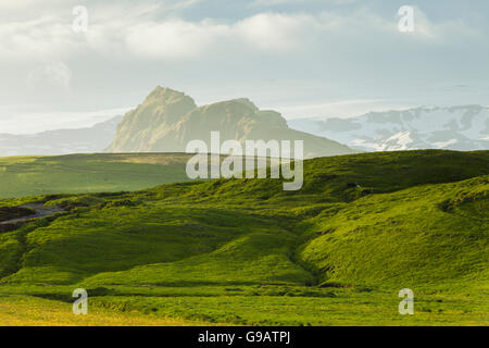 Isländische Landschaft in der Nähe von Vik. Stockfoto