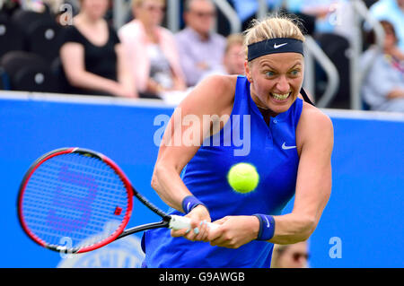 Petra Kvitova (Tschechien) spielen bei den Aegon International, Eastbourne, 2016 Stockfoto