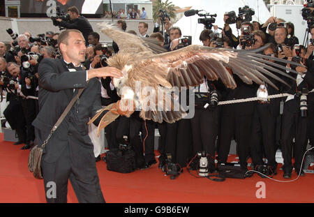 Ein Geier kommt zur Premiere von Over the Hedge, einem neuen Animationsfilm von Dreamworks, der bei den 59. Filmfestspielen in Cannes gezeigt wird. Stockfoto